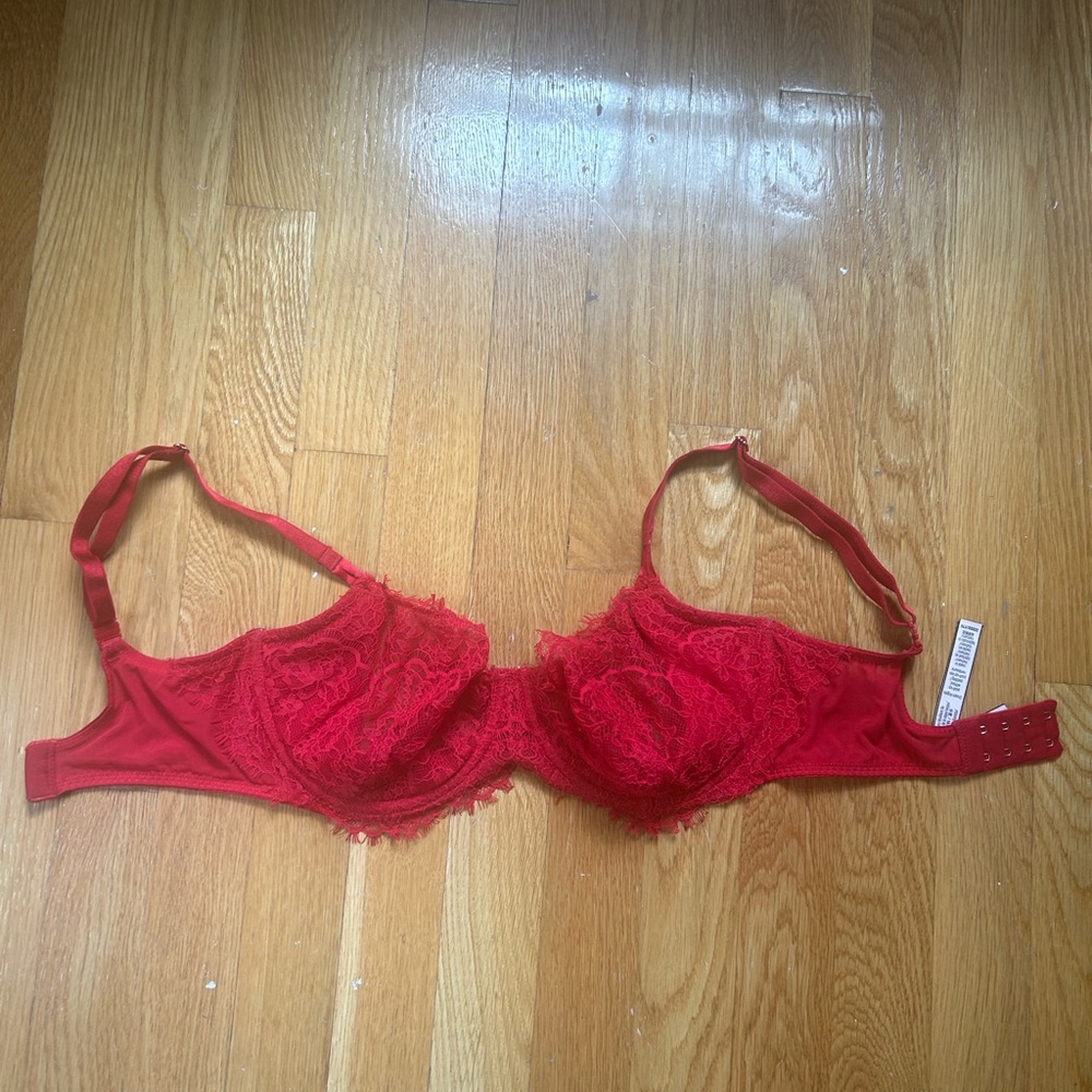Red Lace Victoria’s Secret wicked angels Bra